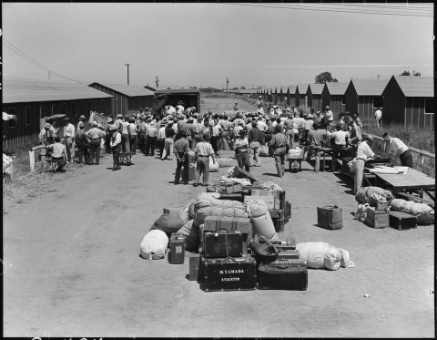 A crowd is gathered among baggage and trunks.