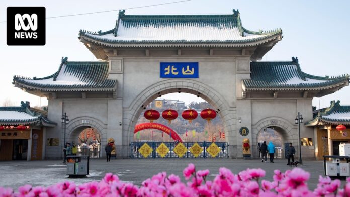 Suspect arrested over stabbing of four American teachers in China