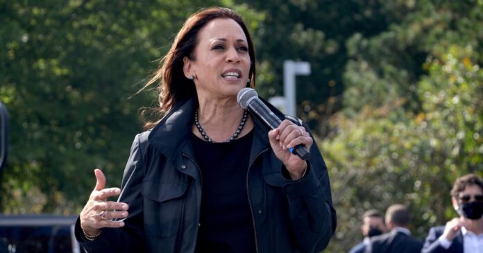 Some Asian-American Lawmakers From Gwinnett Backing Harris' Presidential Run