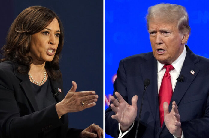 Asian-American voters with the key to victory in U.S. presidential election in hands