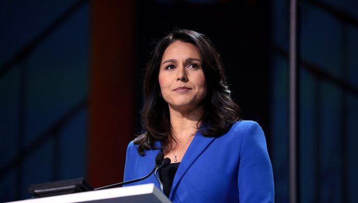 Trump chooses Tulsi Gabbard as director of national intelligence – AsAmNews