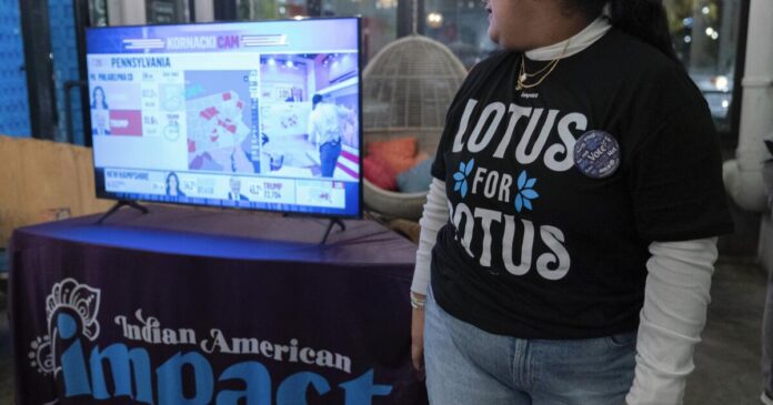 What did the Asian American vote in 2024 tell us?