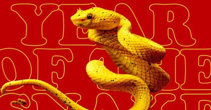 The Year of the Snake is all about shedding bad energy