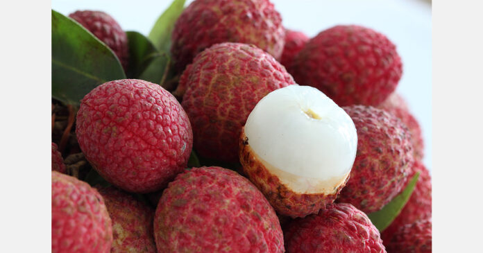 Lychees connect China and Mexico through trade