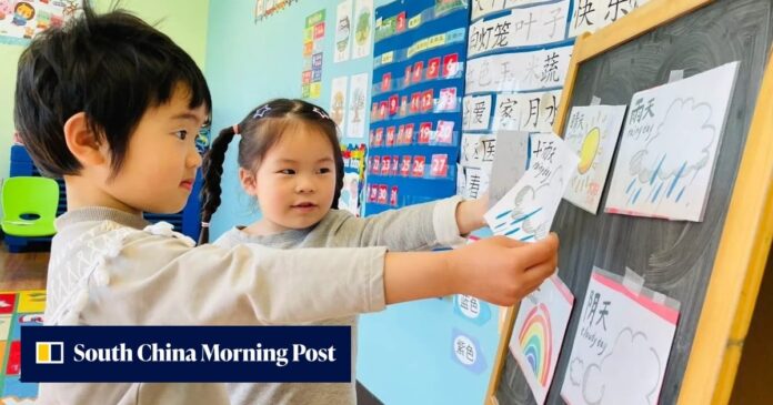 US K-12 immersion schools expand across country for early-age Chinese language education
